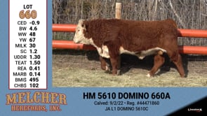 Lot #660 - HM 5610 DOMINO 660A
