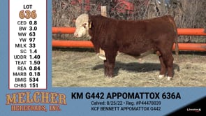 Lot #636 - KM G442 APPOMATTOX 636A