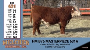 Lot #631 - HM B76 MASTERPIECE 631A