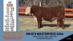 Lot #626-Out - HB B76 MASTERPIECE 626A