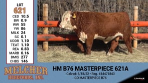 Lot #621 - HM B76 MASTERPIECE 621A
