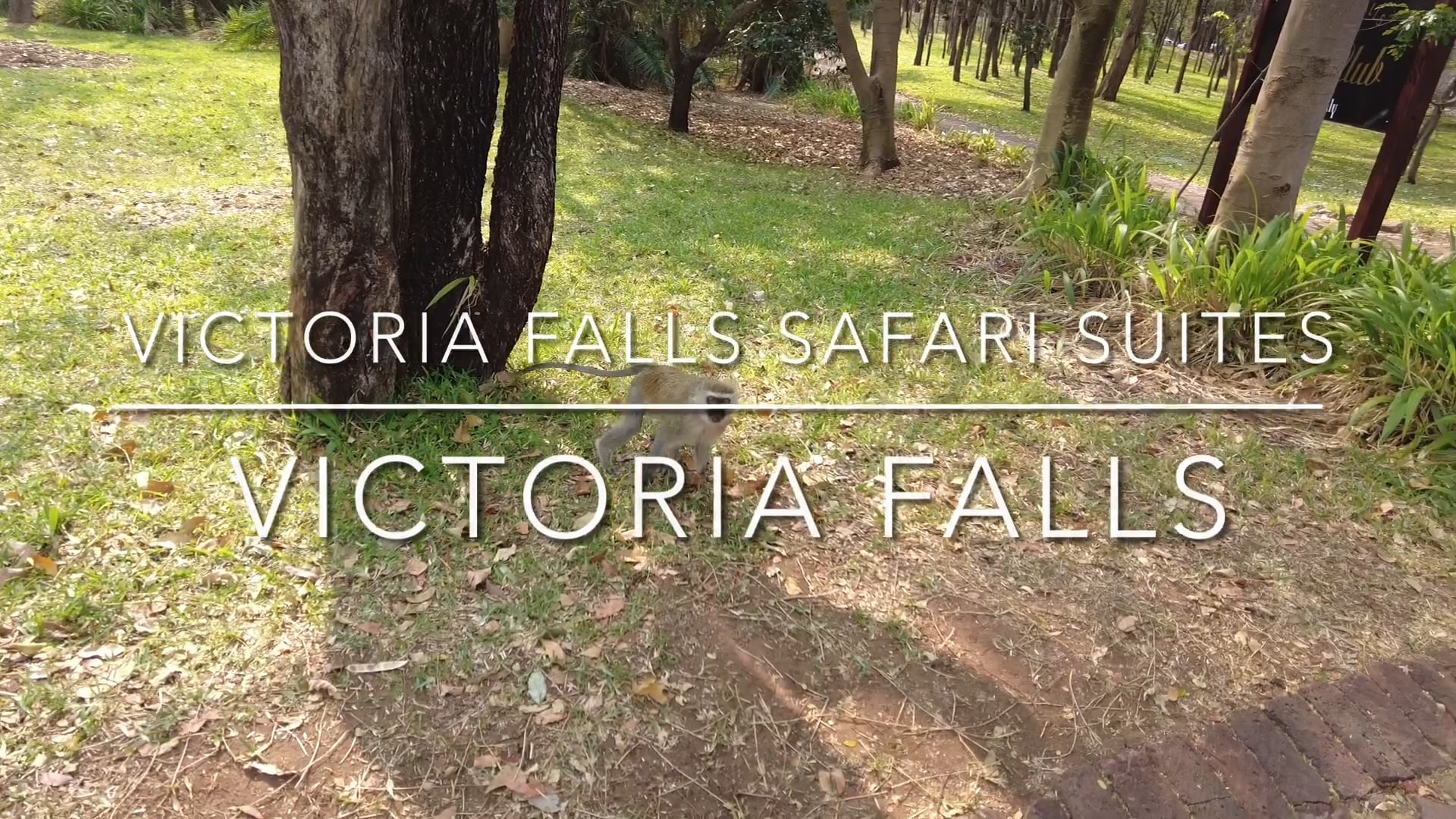 Safari Suites, Victoria Falls, Zimbabwe