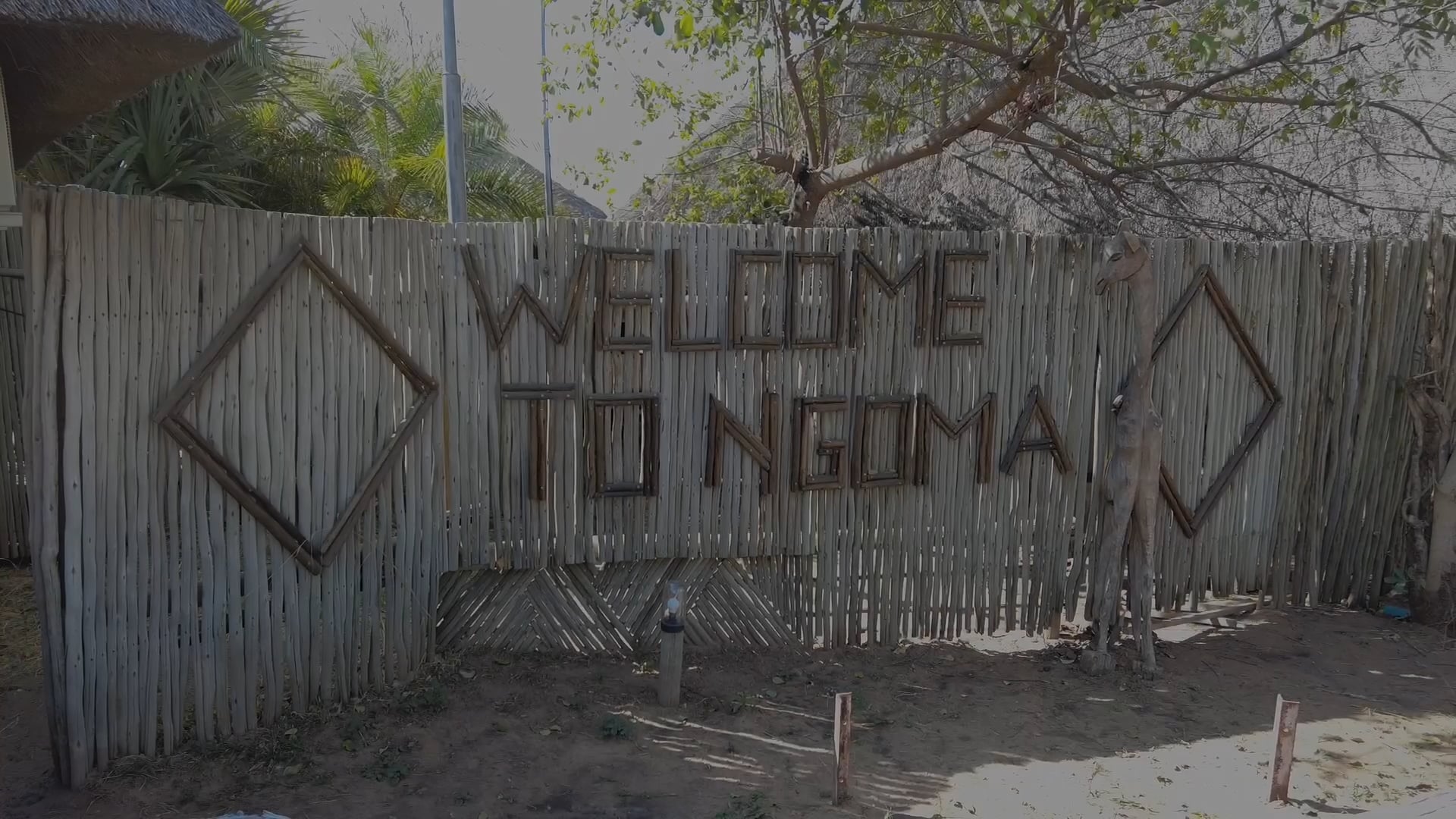 Ngoma Safari Lodge, Chobe NP, Botswana