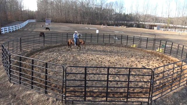 Mocha Day 18: The canter is getting better
