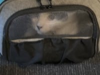 The Transpurrter Ultimate Calming Convertible Cat Carrier in Heather