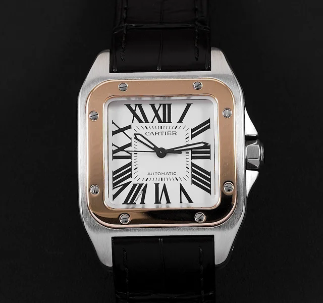 Cartier Santos De Cartier W20107X7 POWG19A Macro Video