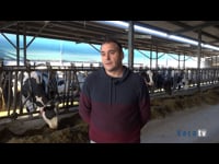 “Comenzamos a utilizar metionina protegida para incrementar el porcentaje de calidades, mejorar la fertilidad y abaratar la ración”