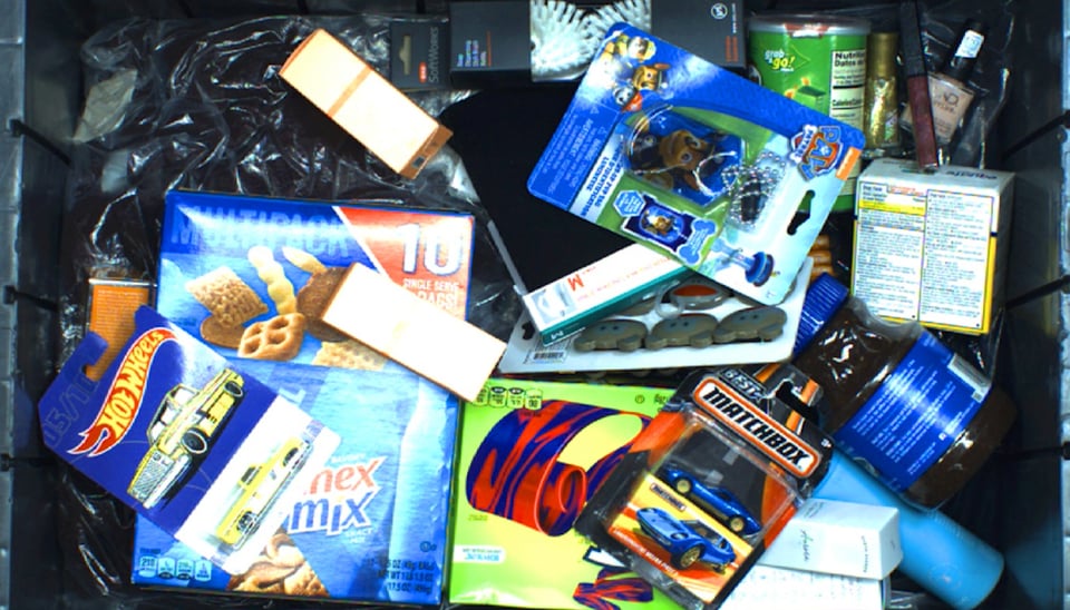 Covariant Brain: Enabling robots to see, think, and act