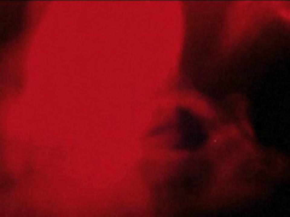 Bruce Peninsula - In Your Light (Snapshot)