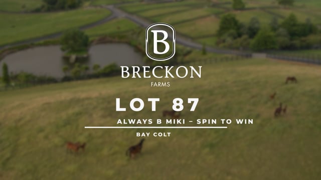 Lot 87