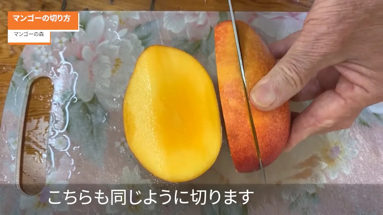 マンゴーの森 - 有限会社かめや - 鹿児島 | 燦々と輝く太陽 きれいな