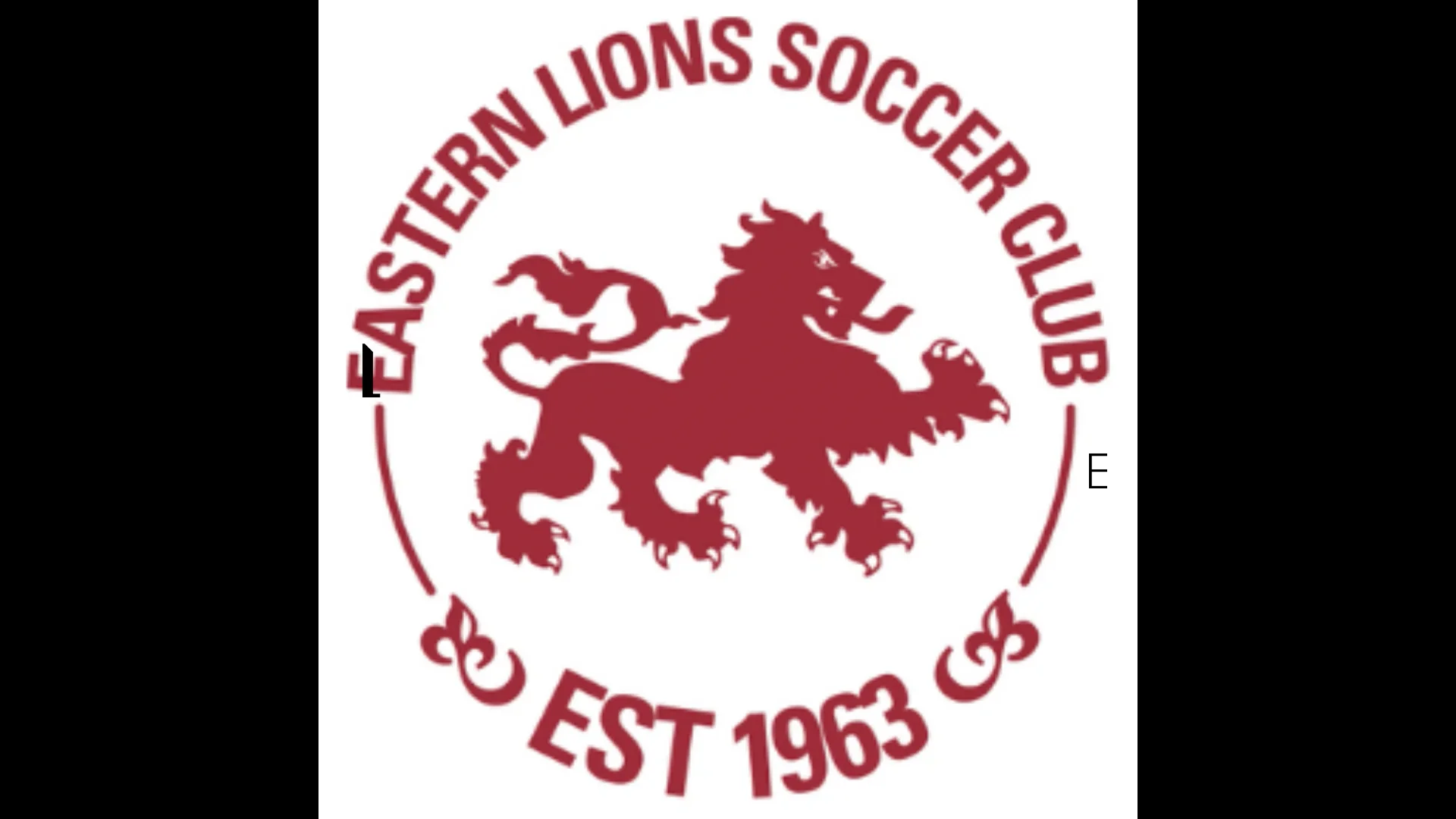 Морелэнд сити данденонг тандер. Eastern Lion logo. Данденонг лого.