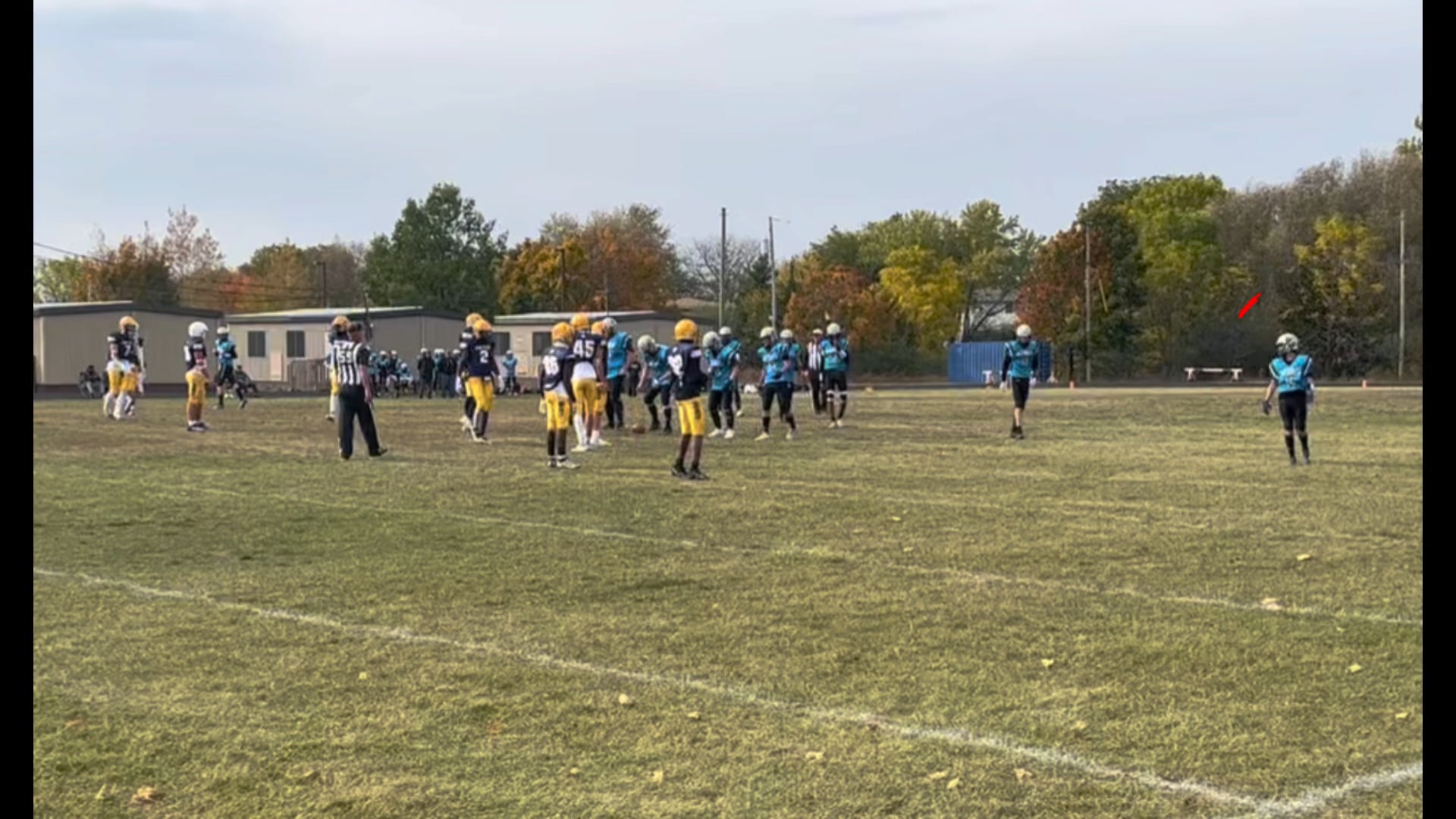 Watch kaleb holden on PurpleShift