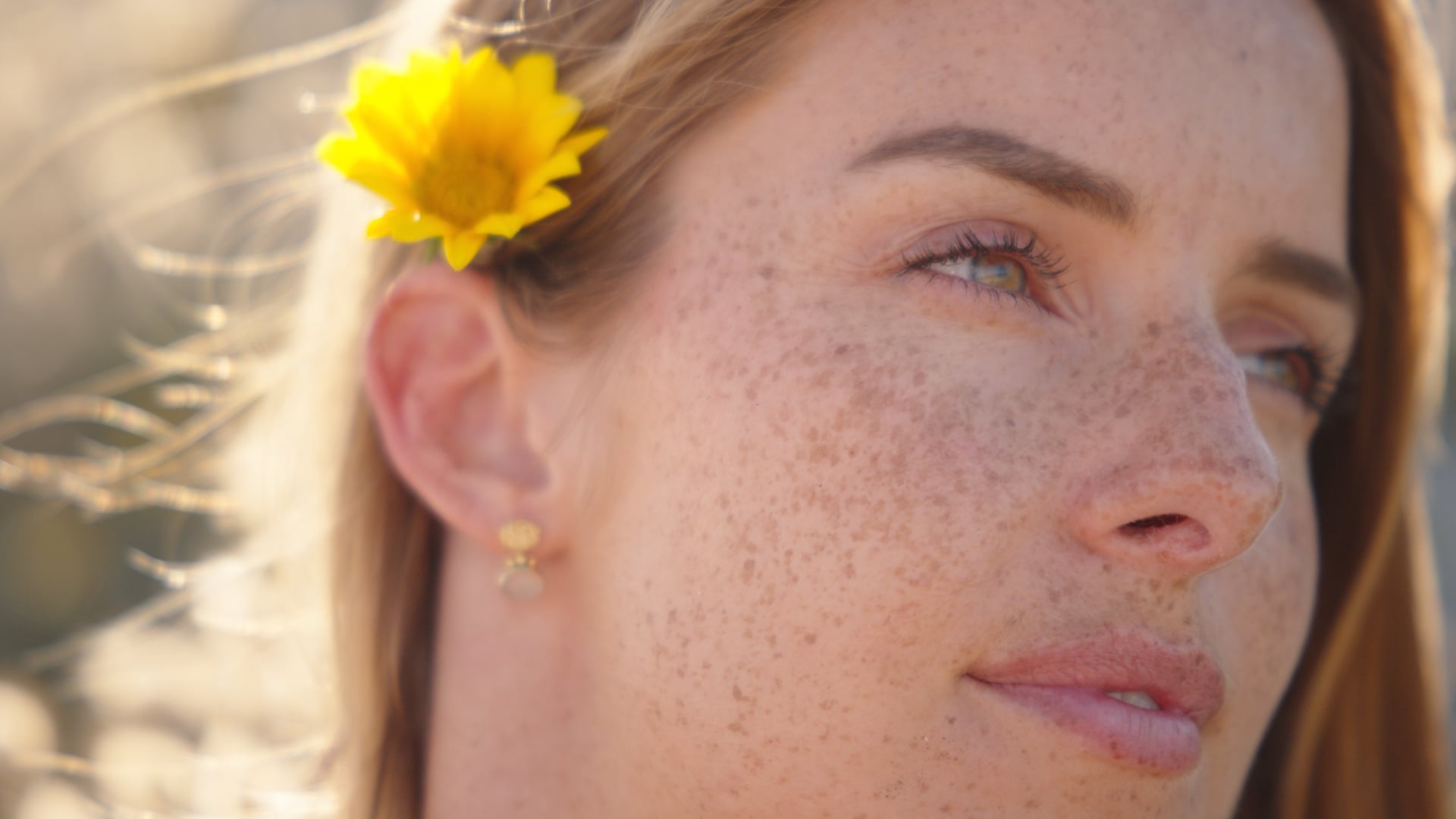 Slowly Golden - Sony Burano Test / Waihi Beach