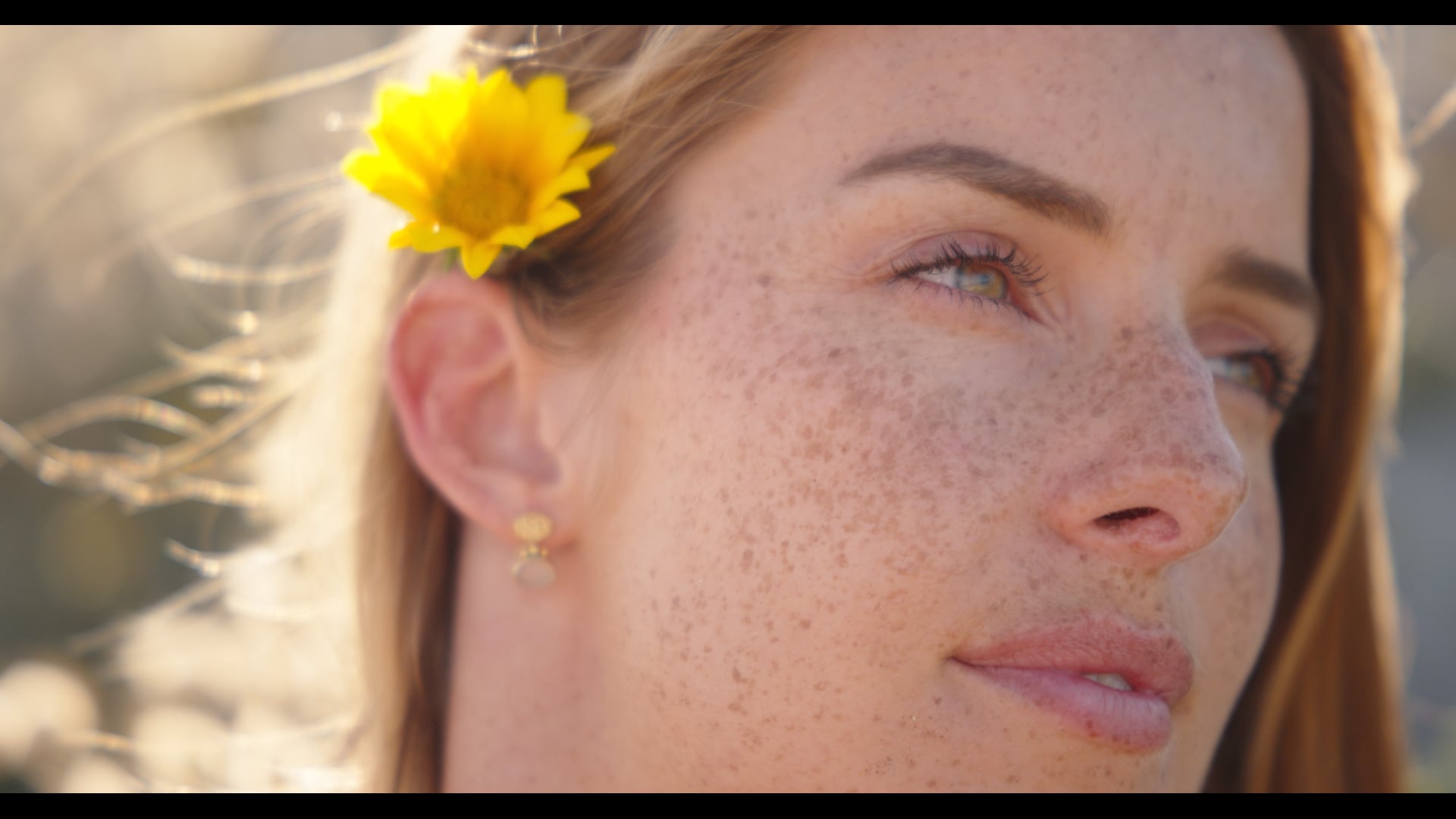 Slowly Golden - Sony Burano Test / Waihi Beach