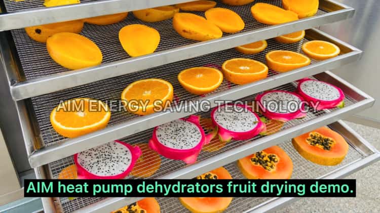 Industrial Heat Pump Fruit Drying Machine - Industrial Food Drying