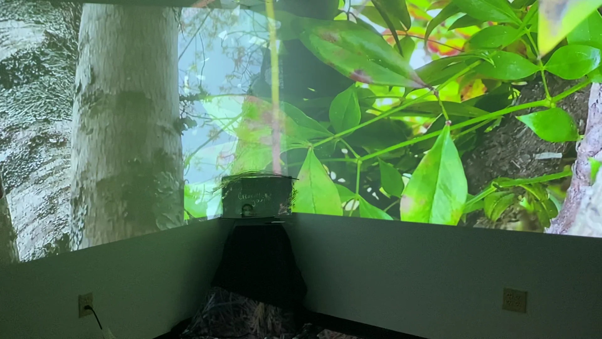 Final installation on Vimeo