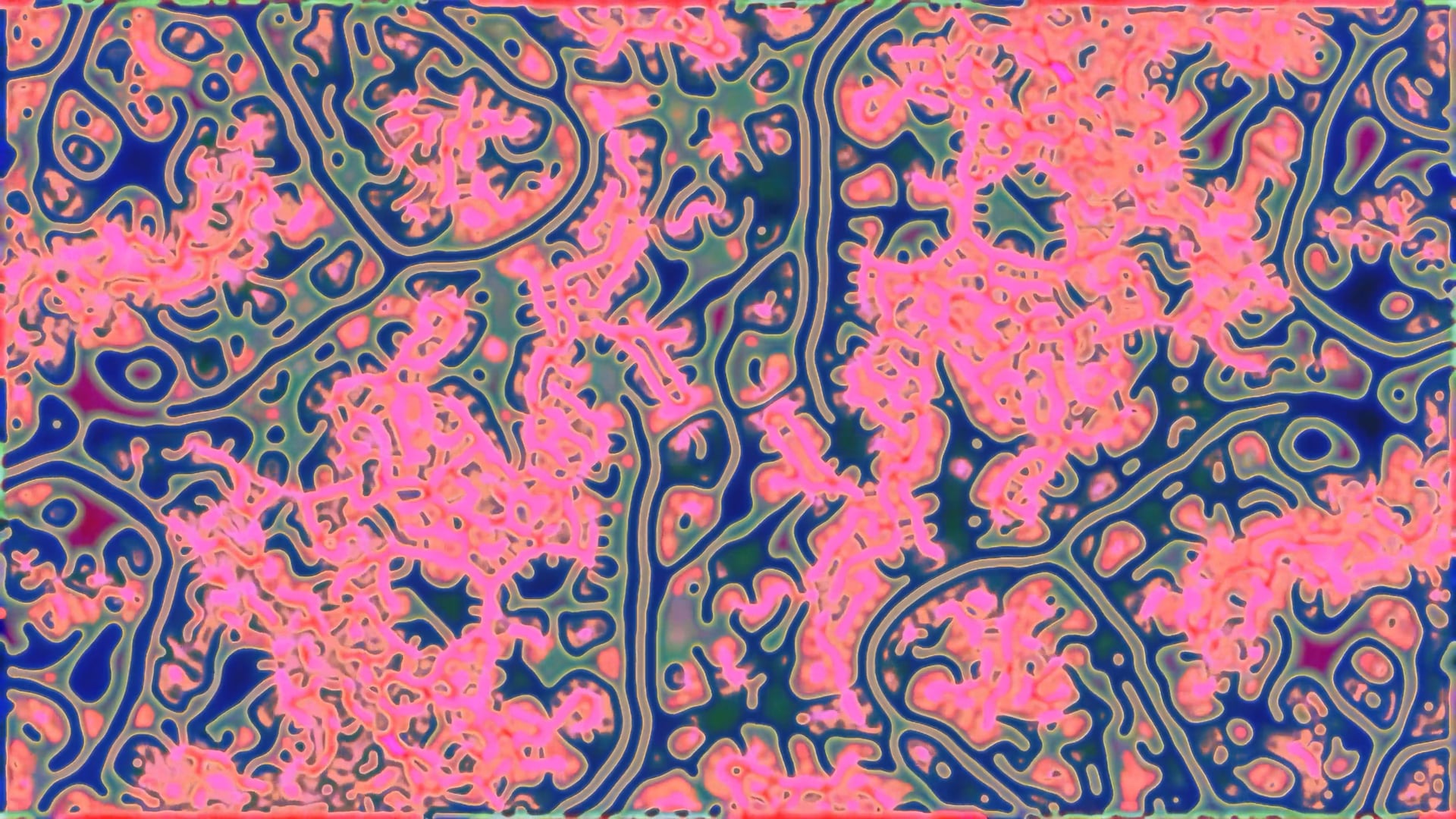 Morphogen-001