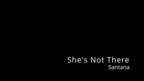 She's Not There Bass Cover