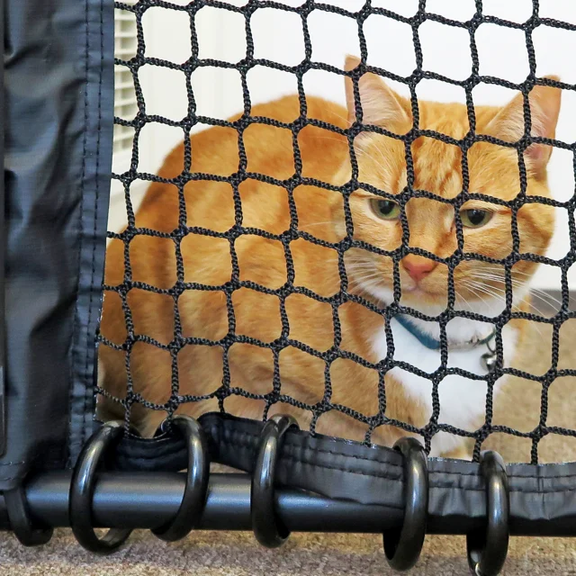 Cat sales safety door