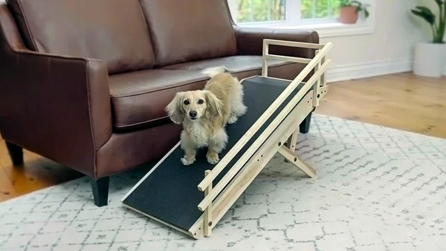 Small dog sale ramps for couch