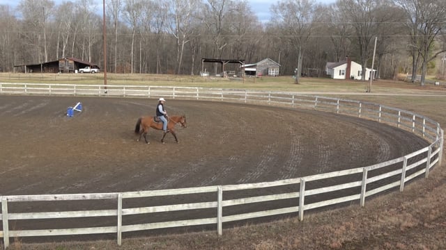 Mocha Day 19: 1st day in the arena