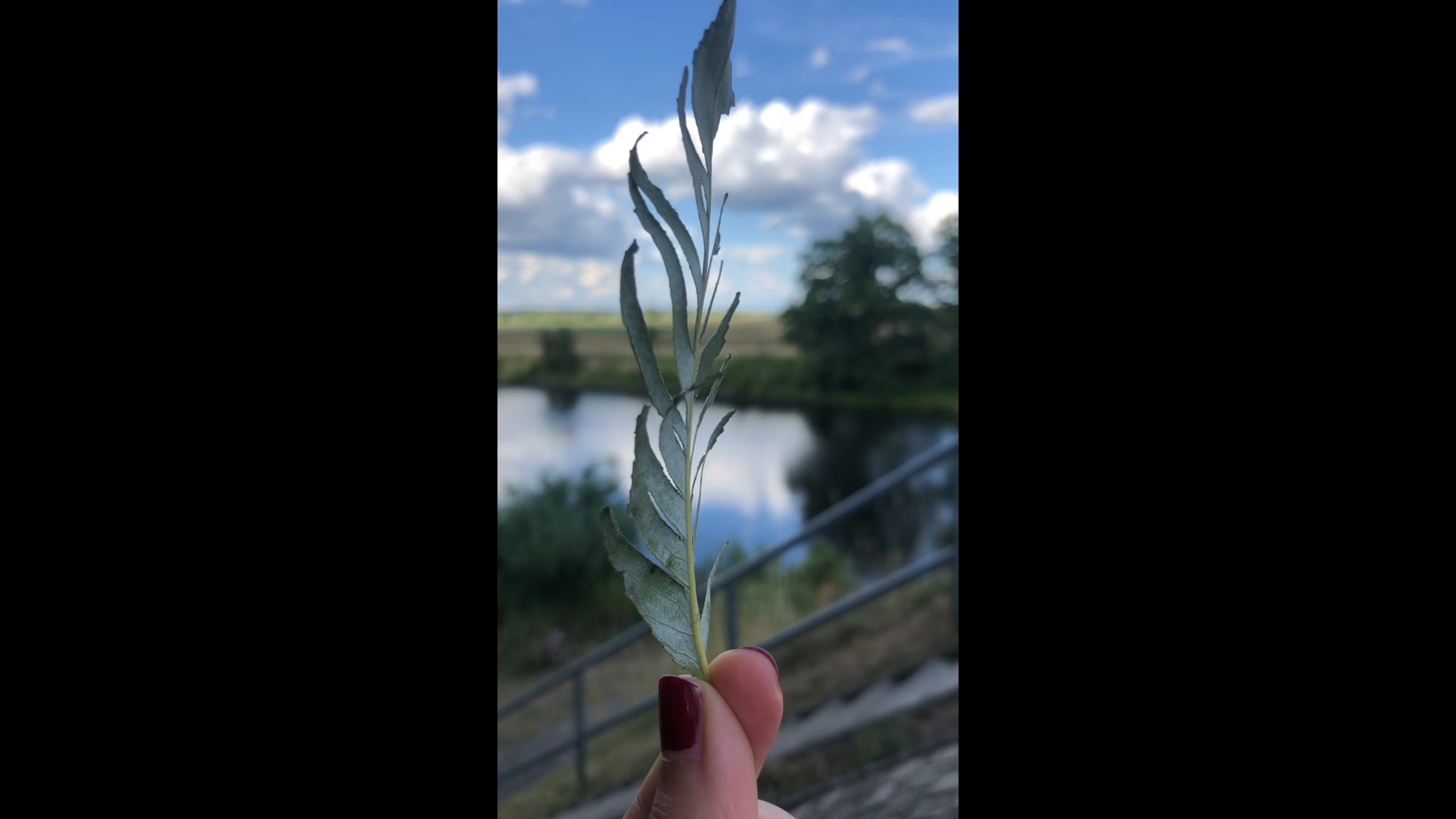a meditation on the wind, Lunow-Stolzenhagen, Germany