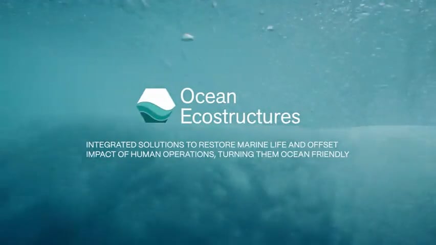 VIDEO 2024 Ocean On Vimeo   1776652934 27a0c4d4eaec8f7ce4c384e48ed9d96232f1da1348b060cc2adcdcfa290d5c03 D