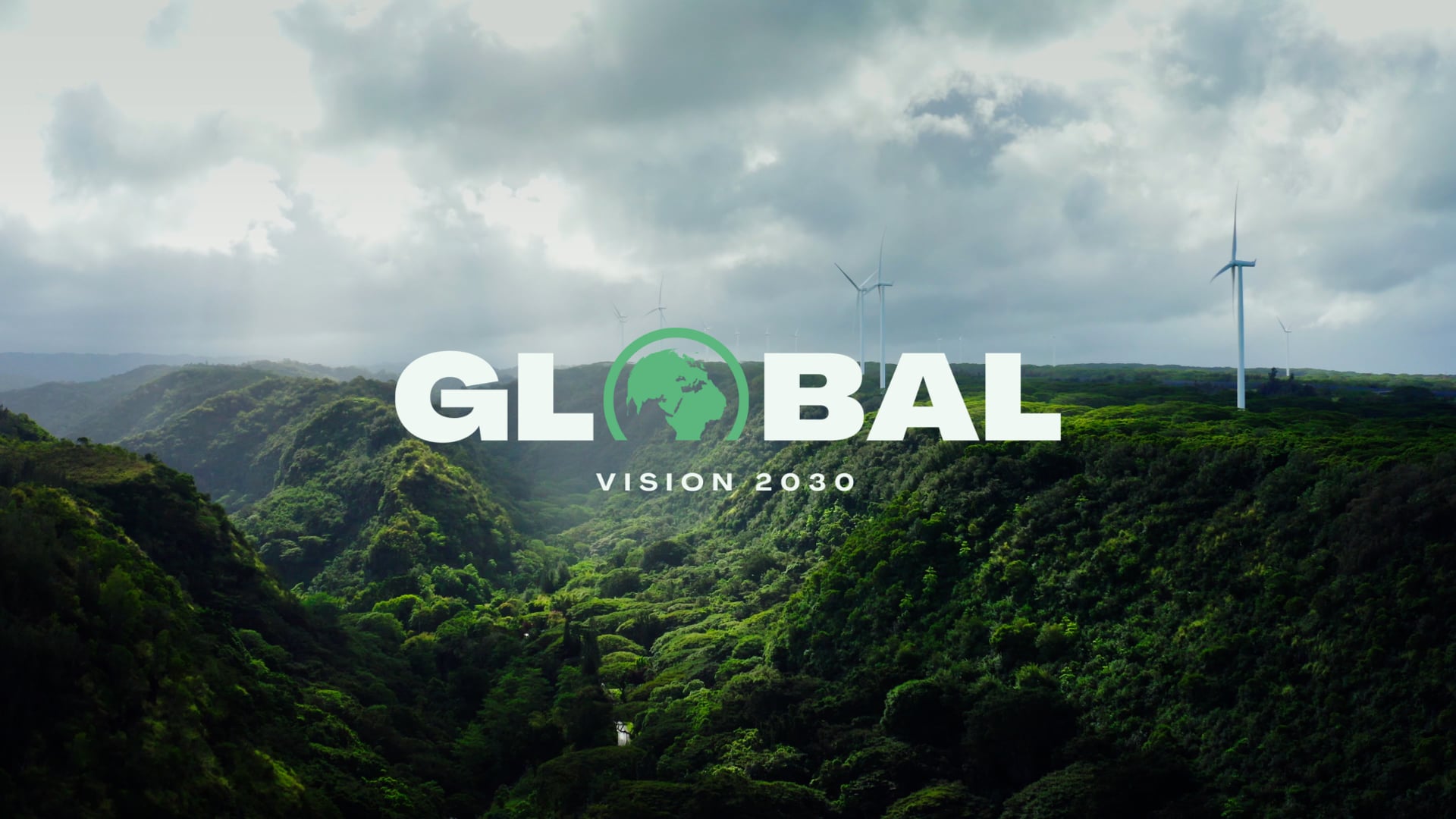 GLOBAL VISION 30