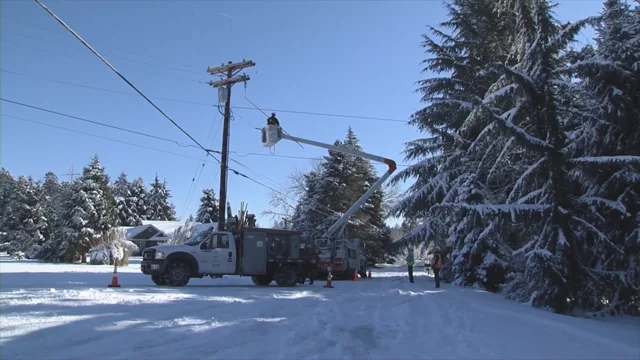 20 Tips on What to Do if Power Goes Out in Winter