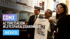 EL FIN DE LOS RASTROS CLANDESTINOS ESTÁ CERCA