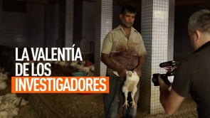 Es gracias a los investigadores que conocemos la verdad