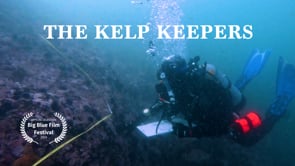 Maps, Stewardship, Sustainability and Reef Check