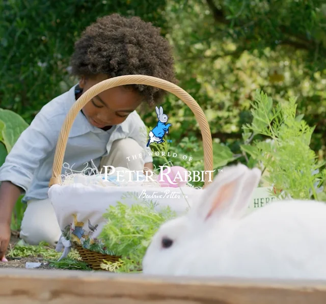 Peter rabbit best sale toys for babies