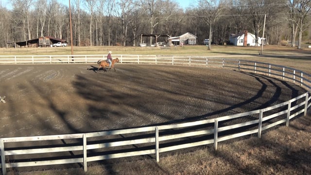 Mocha Day 20:  Making progress in the arena