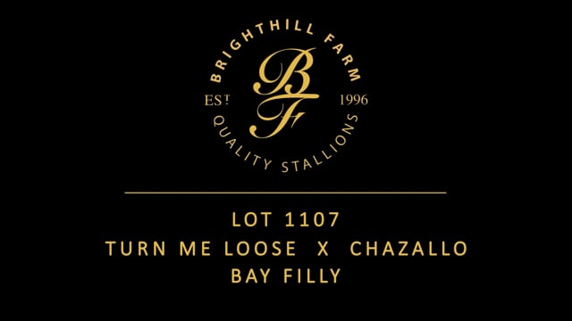 Lot 1107