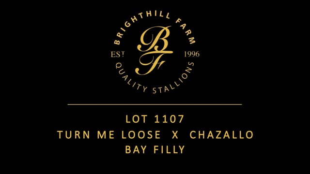 Lot 1107