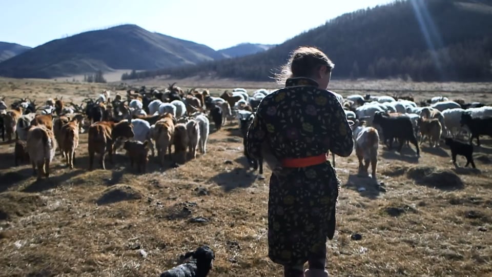 Preview image for video N.PEAL_Mongolia_Preview