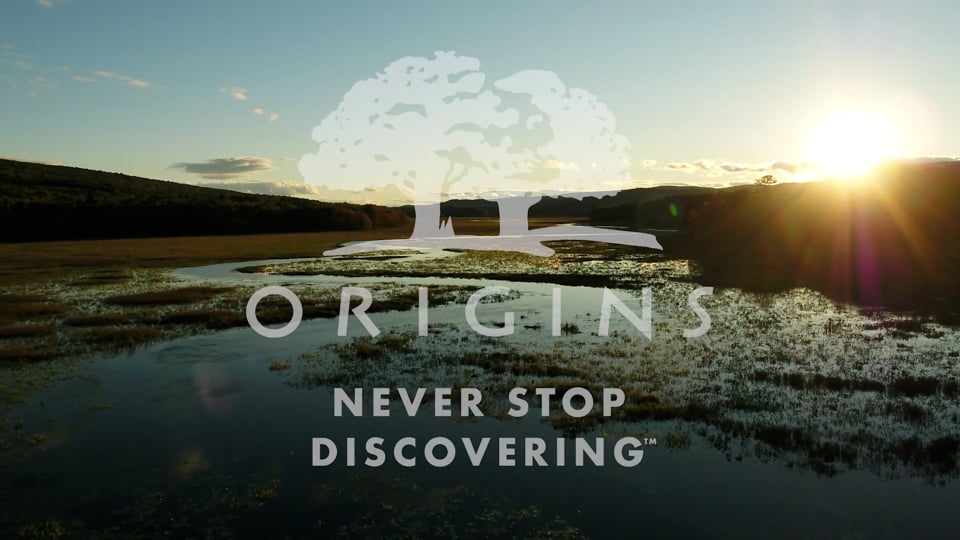 Preview image for video ORIGINS_NeverStopDisc_FULL