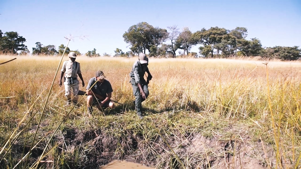 About Jannie Otto Safaris