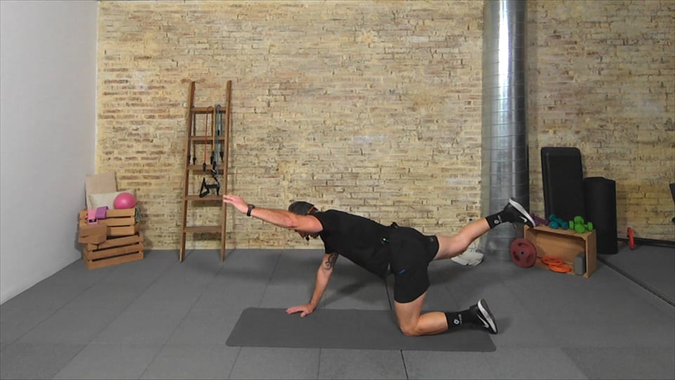 Ejercicios dinámicos y cardio