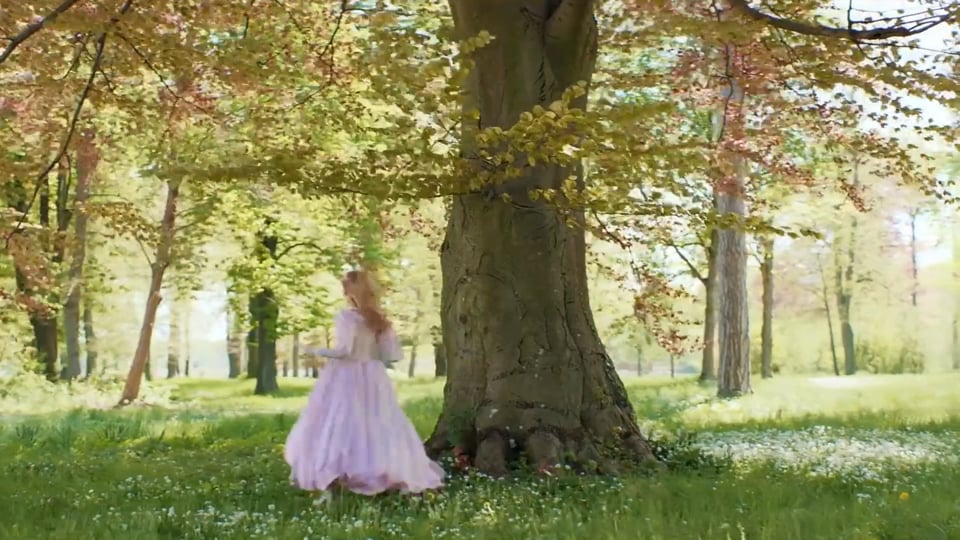 Preview image for video FREIHOF_schlosspark_PREVIEW