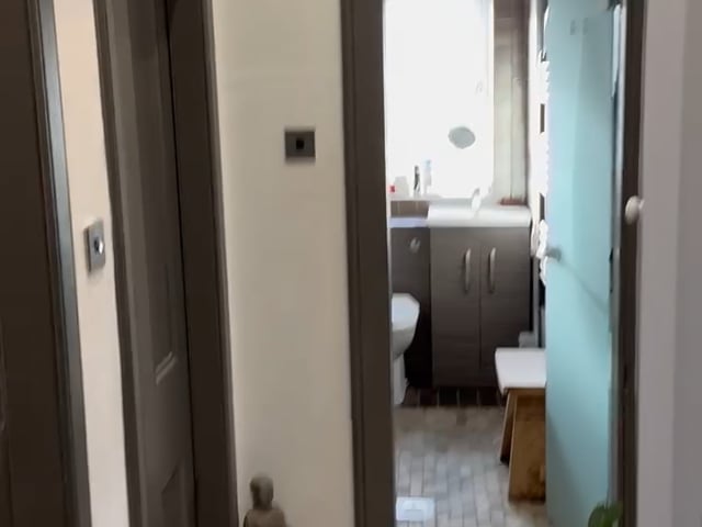 Video 1: Front entering apartment 