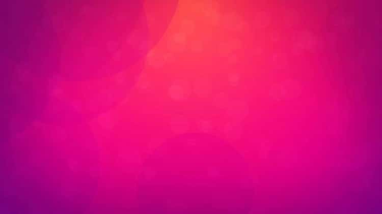 PINK THINGS - COLOR//COLOUR LOVERS PROJECT on Vimeo