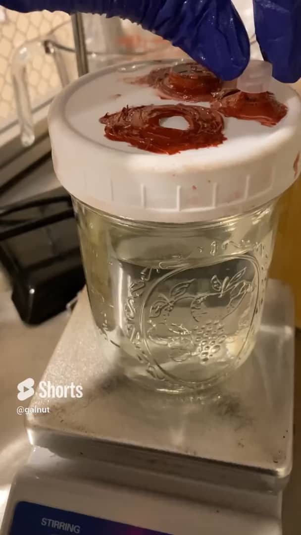 Transferring mycelium liquid culture, the easy way. #galnut # ...