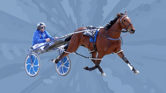 2024 National Standardbred Yearling Sale TVC