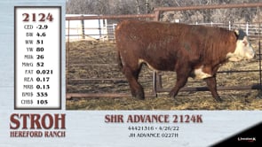 Lot #2124 - SHR ADVANCE 2124K