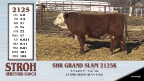 Lot #2125 - SHR GRAND SLAM 2125K