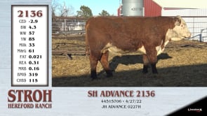 Lot #2136 - SH ADVANCE 2136