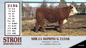 Lot #2154 - SHR L1 DOMINO G 2154K